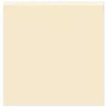 Papier uni DUO VANILLE