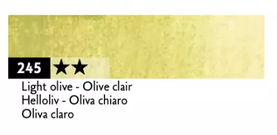 PASTEL CLASSIC NEOCOLOR II OLIVE CLAIR