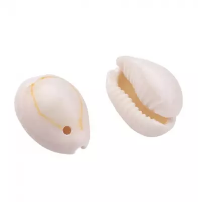 PERLE COQUILLAGE 