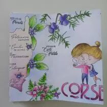 Pochoir carte de la corse