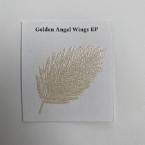 Poudre à embosser - golden angel wings