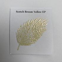 Poudre à embosser - scotch broom yellow