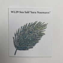 poudre à embosser Wow *Sara Naumann* - 15 ml -  Sea Salt