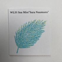 poudre à embosser Wow *Sara Naumann* - 15 ml - Sea Mist