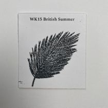 poudre à embosser Wow Opaque - 15ml - British Summer