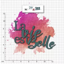 Set de die : La vie est belle