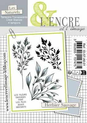 Tampon clear - Herbier Sauvage - lencreetlimage