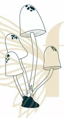 Tampon non mont� - champignon