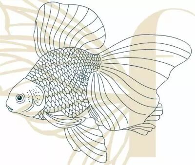 Tampon non mont� - poisson