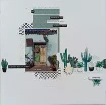 TAMPON NON MONTE A6 CACTUS