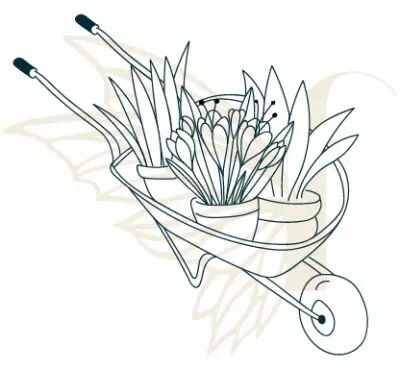 TAMPON NON MONTE BRANCHE AVEC FLEURS 