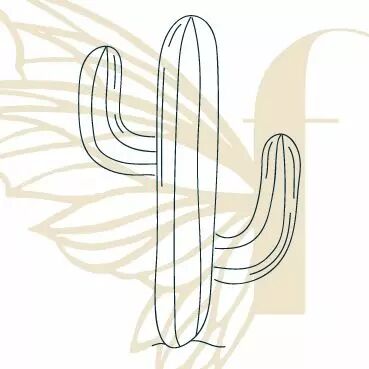 TAMPON NON MONTE CACTUS 1