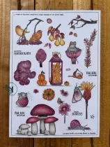 TAMPON NON MONTE CHAMPIGNON DODU