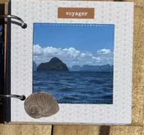 Tampon non monté coquillages