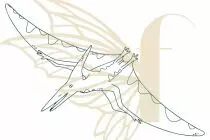 TAMPON NON MONTE DINOSAURE PTERANODRON