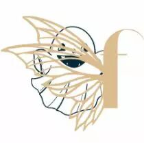 TAMPON NON MONTE FANTOME