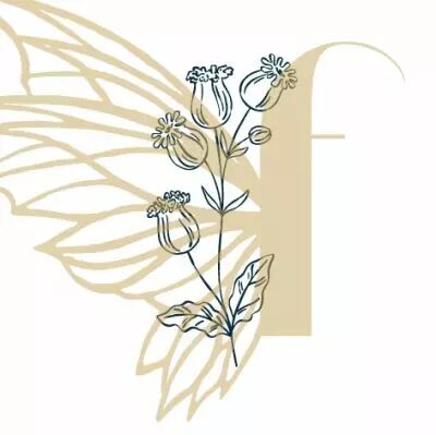 TAMPON NON MONTE FLEUR DE JANVIER