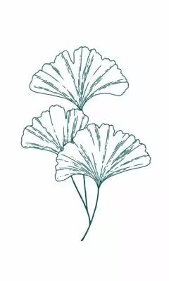 TAMPON NON MONTE GINGKO