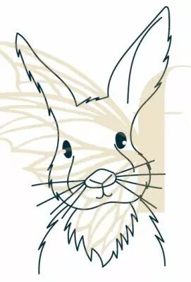TAMPON NON MONTE GRAND LAPIN