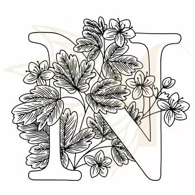 TAMPON NON MONTE LETTRE FLORALE - N