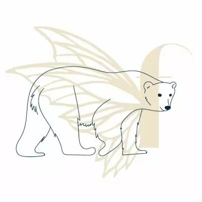 TAMPON NON MONTE OURS