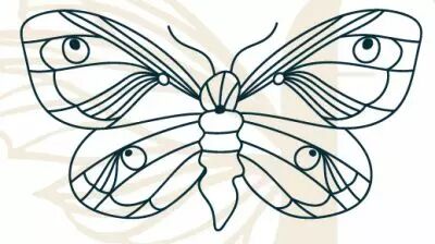TAMPON NON MONTE PAPILLON