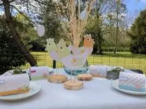 TAMPON NON MONTE PETITS OISEAUX