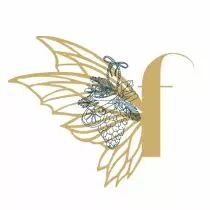 Tampon non monté pomme de pin