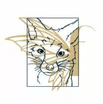 TAMPON NON MONTE RENARD