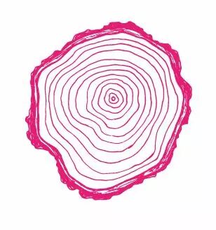 TAMPON NON MONTE RONDIN DE BOIS