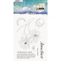  Tampon Studio Light Moon Flower - Strophocactus Wittii