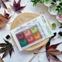 TAMPON TRANSPARENT A7 ECHANTILLON BOI108