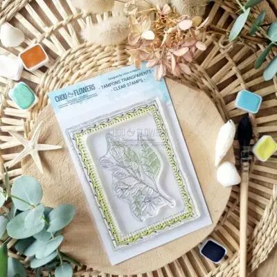 TAMPONS CLEAR A7 FLEUR DE CITRONNIER