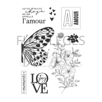 Tampons clear GRAND PAPILLON