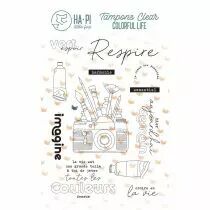 Tampons clear Vert - HA PI Little Fox