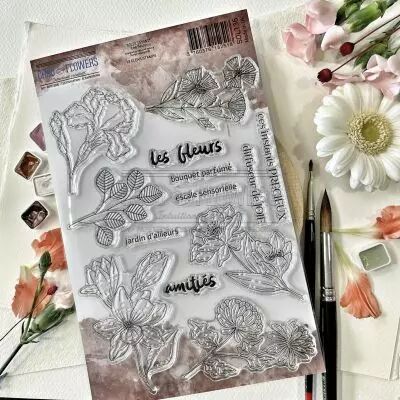 TAMPONS TRANSPARENTS A5 LES FLEURS SOL136