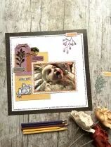 Tampons transparents A6 - capturer ce moment