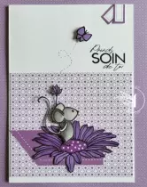 Tampons transparents A6 - Carterie variée