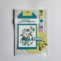 Tampons transparents A6 - Carterie variée