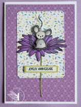 Tampons transparents A6 - Carterie variée