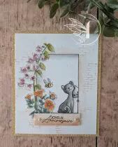 Tampons transparents A6 - Carterie vari&eacute;e