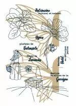 Tampons transparents A6 - champ de lavandes