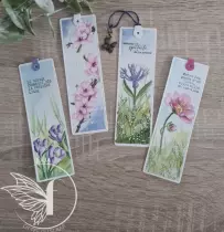 Tampons transparents A6 - champ de lavandes