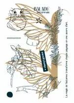 Tampons transparents A6 - champignons