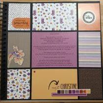 Tampons transparents A6 - champignons