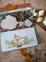 Tampons transparents A6 - champignons