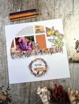 Tampons transparents A6 - châtaignes