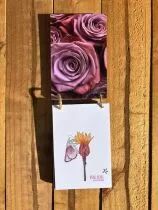 Tampons transparents A6 - châtaignes