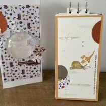 Tampons transparents A6 - châtaignes