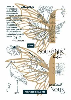 Tampons transparents A6 - cigogne